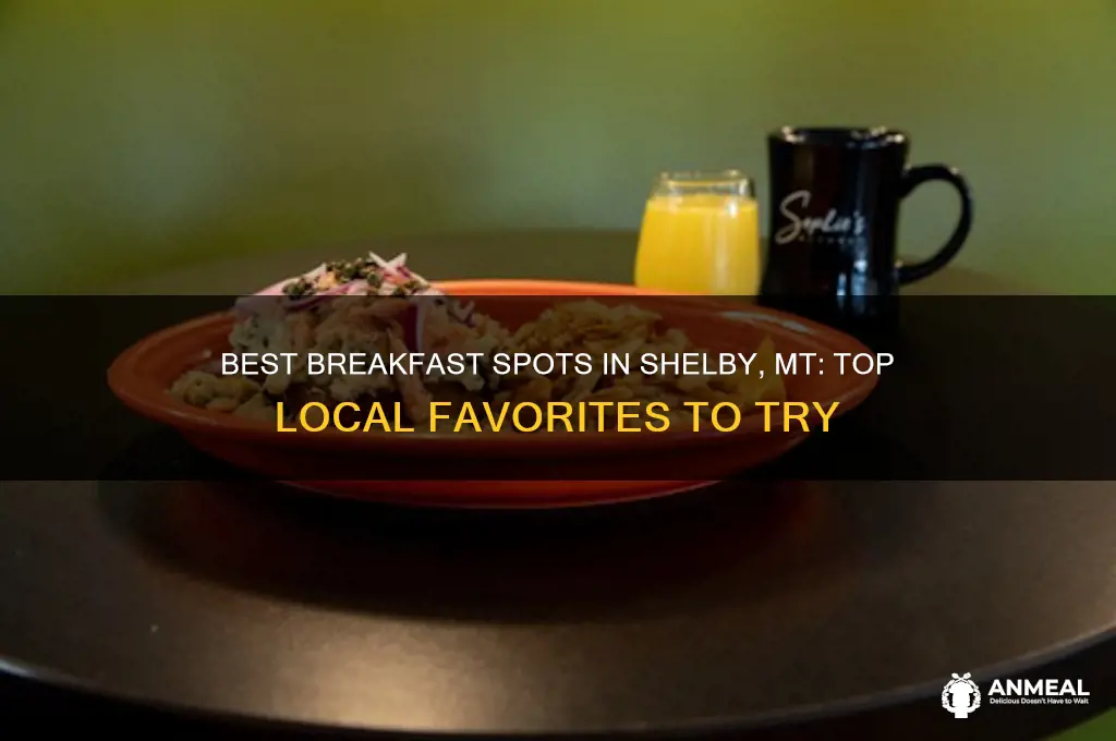 where to get breakfast shelby mt