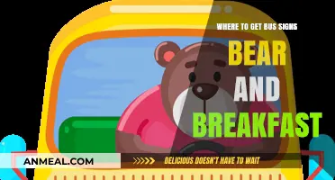 Where to Find Bus Signs for Your Bear and Breakfast Adventure