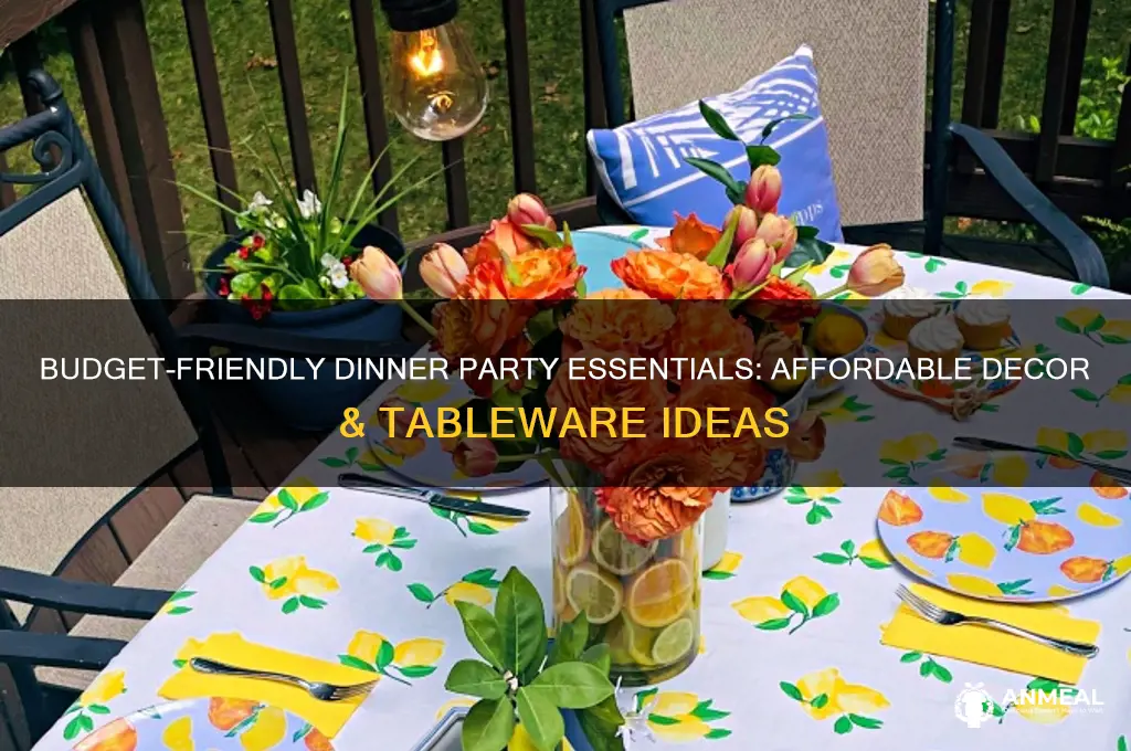 where to get cheap dinner party items