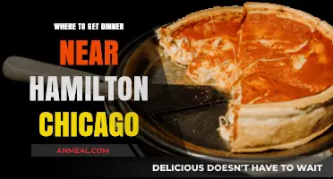 Best Dinner Spots Near Hamilton Chicago: Top Restaurants to Try