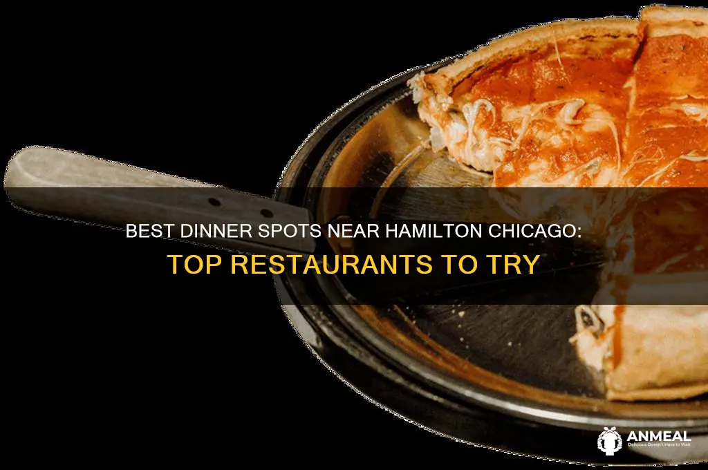 where to get dinner near hamilton chicago