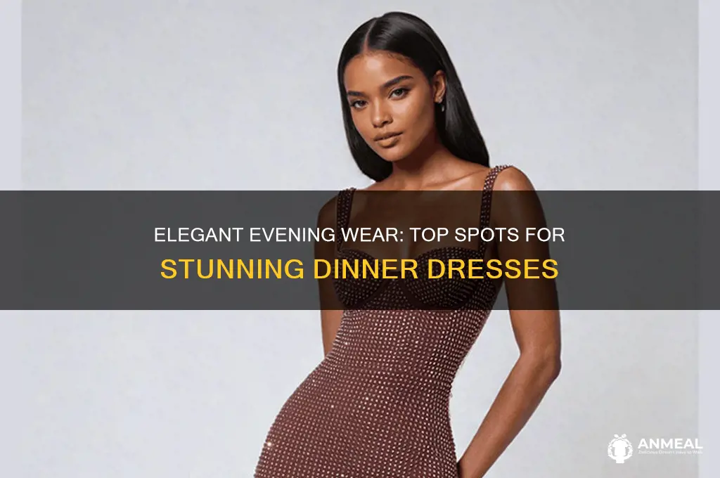 where to get nice dinner dress