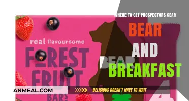 Prospectors Gear Guide: Best Spots for Bear and Breakfast Supplies