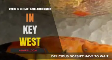 Best Soft Shell Crab Dinner Spots in Key West, Florida