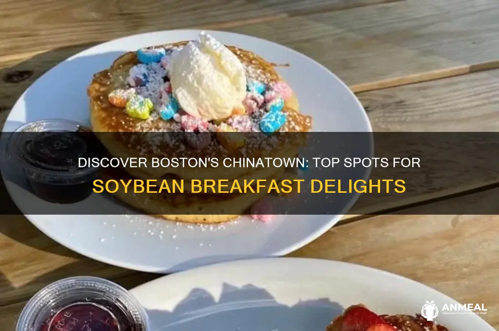 where to get soy bean breakfast in chinatown boston