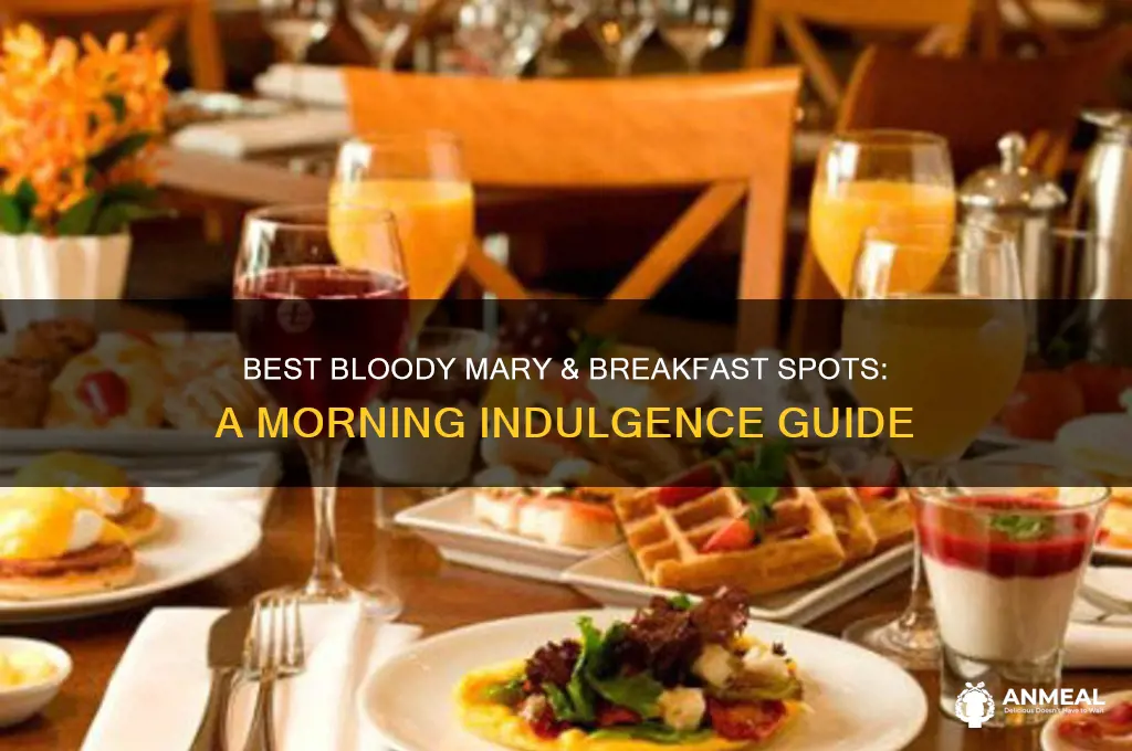 where to get the best bloody mary and breakfast
