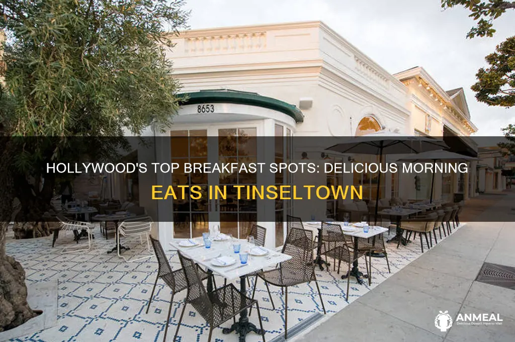 where to get the best breakfast in hollywood california