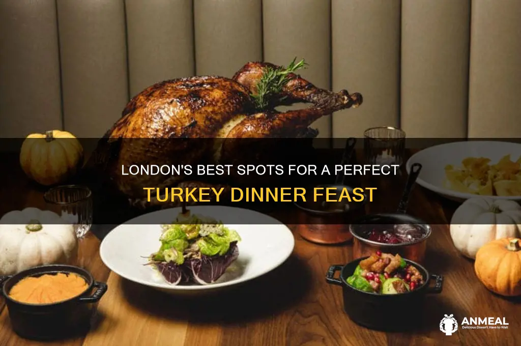 where to get turkey dinner in london