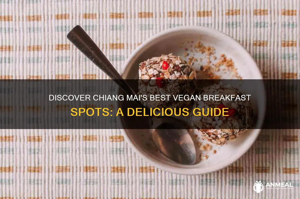 where to get vegan breakfast in chiang mai