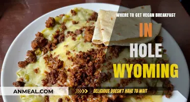 Discover Hole, Wyoming's Best Spots for Delicious Vegan Breakfasts