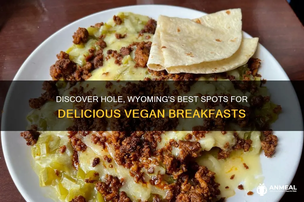 where to get vegan breakfast in hole wyoming