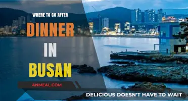 Busan's Best Evening Spots: Post-Dinner Adventures to Explore and Enjoy