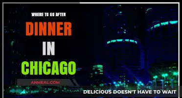 Chicago's Best Post-Dinner Spots: Cocktails, Desserts, and Nightlife