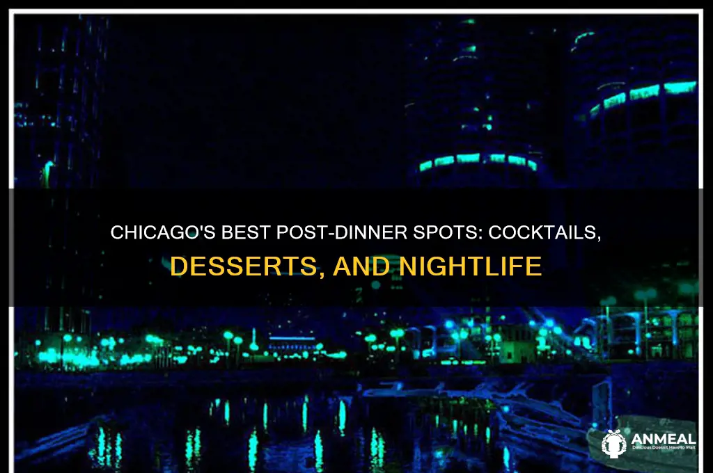 where to go after dinner in chicago
