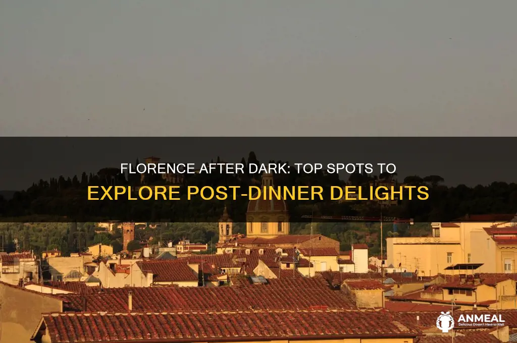 where to go after dinner in florence