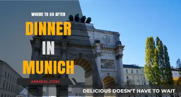 Munich's Best Evening Spots: Post-Dinner Fun and Relaxation Guide