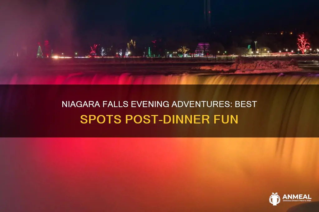 where to go after dinner in niagara falls