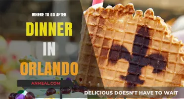 Orlando's Best Post-Dinner Hotspots: Nightlife, Desserts, and Relaxing Spots