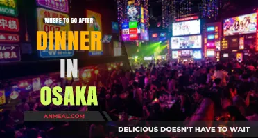Osaka's Best Evening Spots: Post-Dinner Adventures to Explore