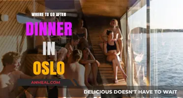 Oslo's Best Post-Dinner Spots: Bars, Lounges, and Late-Night Fun