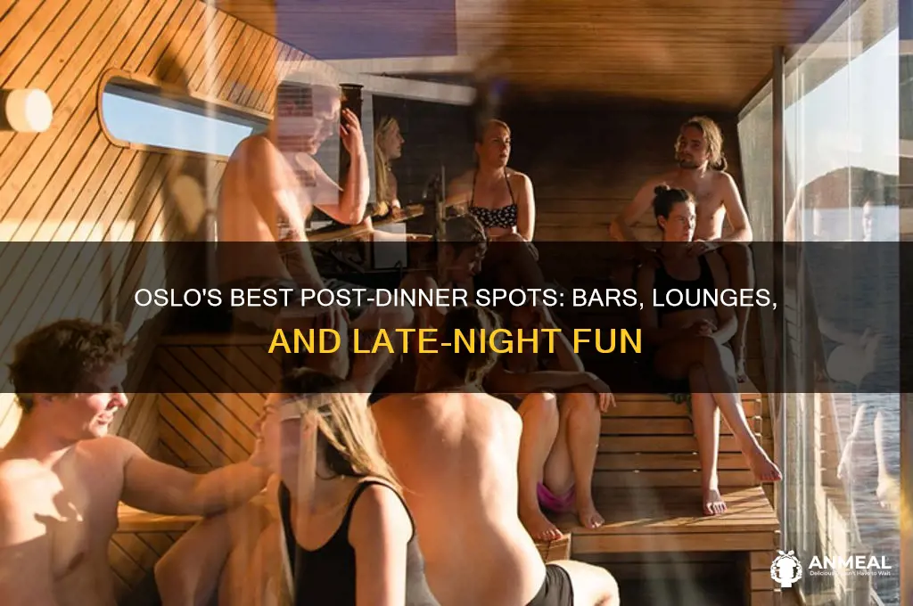 where to go after dinner in oslo