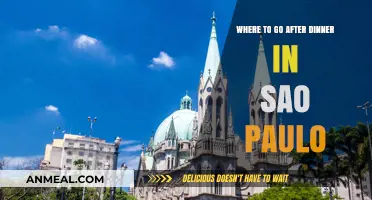 Unwind After Dinner: Sao Paulo's Top Nightlife Spots to Explore