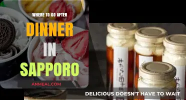 Sapporo's Best Post-Dinner Spots: Nightlife, Desserts, and Relaxation