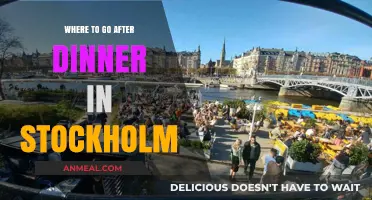 Stockholm's Best Post-Dinner Spots: Bars, Lounges, and Nightlife Guide