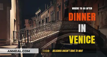Venice After Dark: Top Spots to Explore Post-Dinner Delights