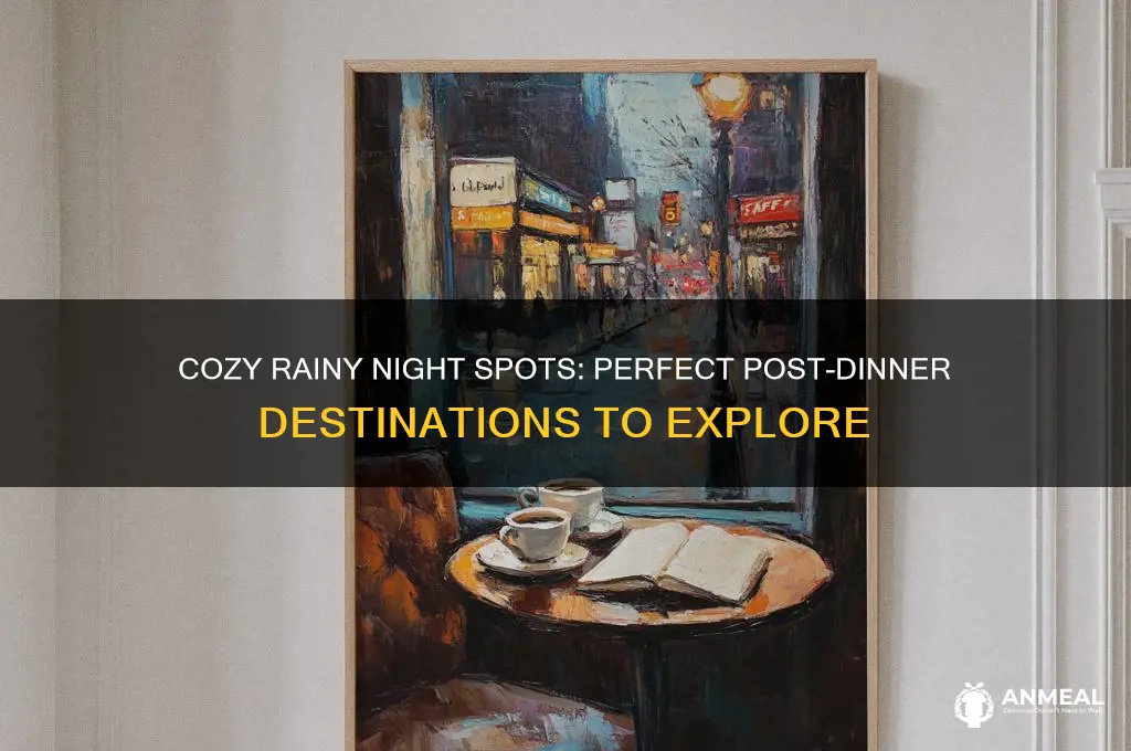 where to go after dinner on a rainy day