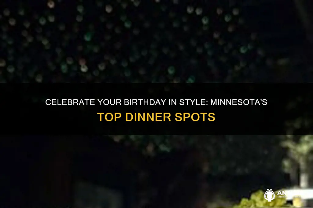 where to go for a birthday dinner in minnesota