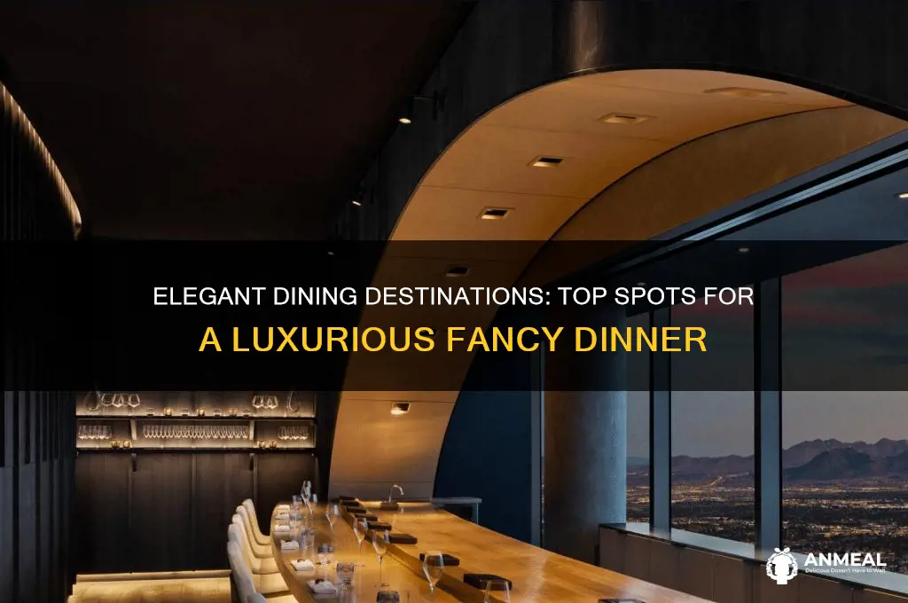 where to go for a fancy dinner