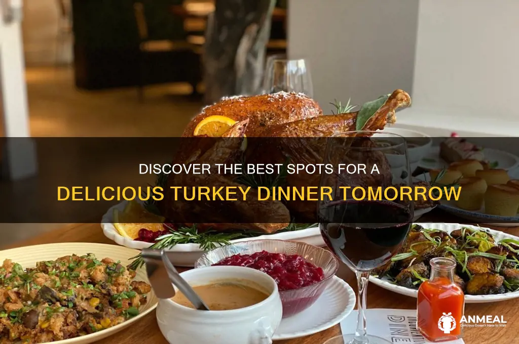 where to go for a turkey dinner tommorow