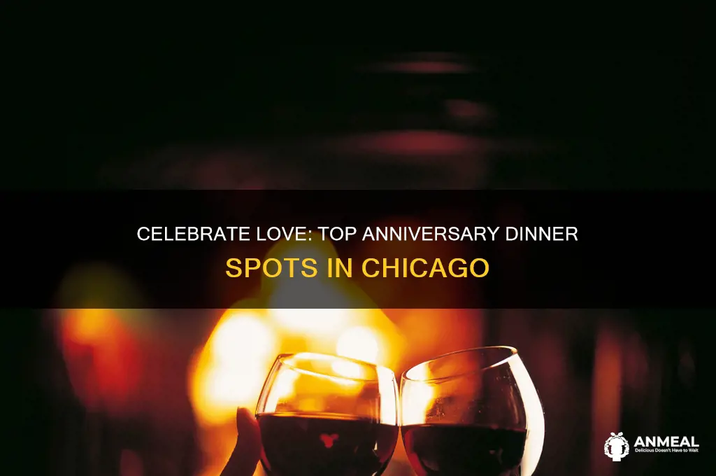 where to go for anniversary dinner in chicago