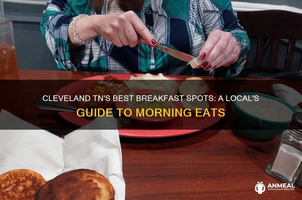 where to go for breakfast cleveland tn