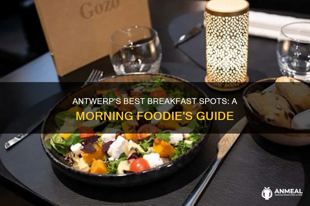 where to go for breakfast in antwerp