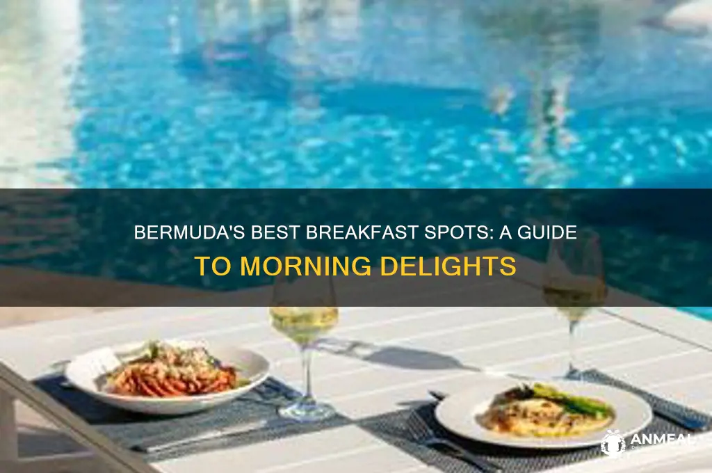 where to go for breakfast in bermuda