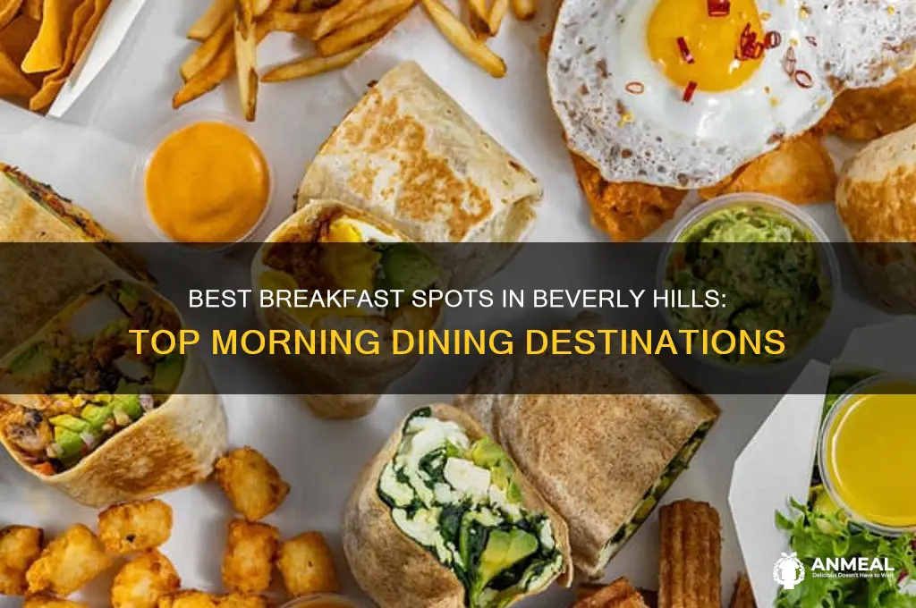 where to go for breakfast in beverly hills