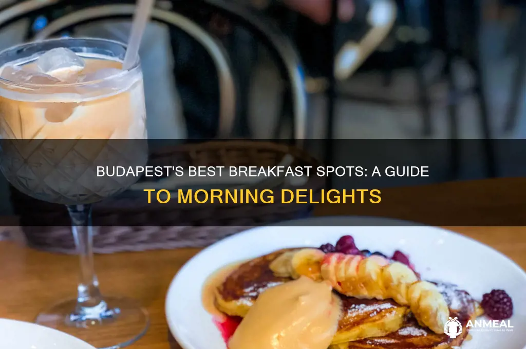 where to go for breakfast in budapest