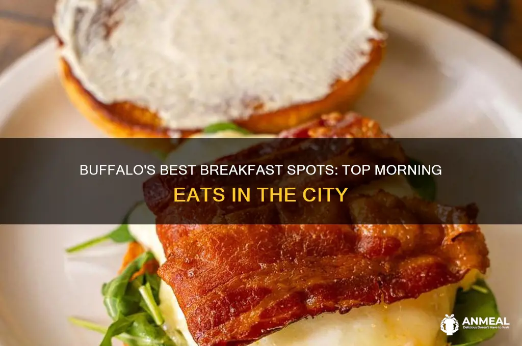 where to go for breakfast in buffalo ny