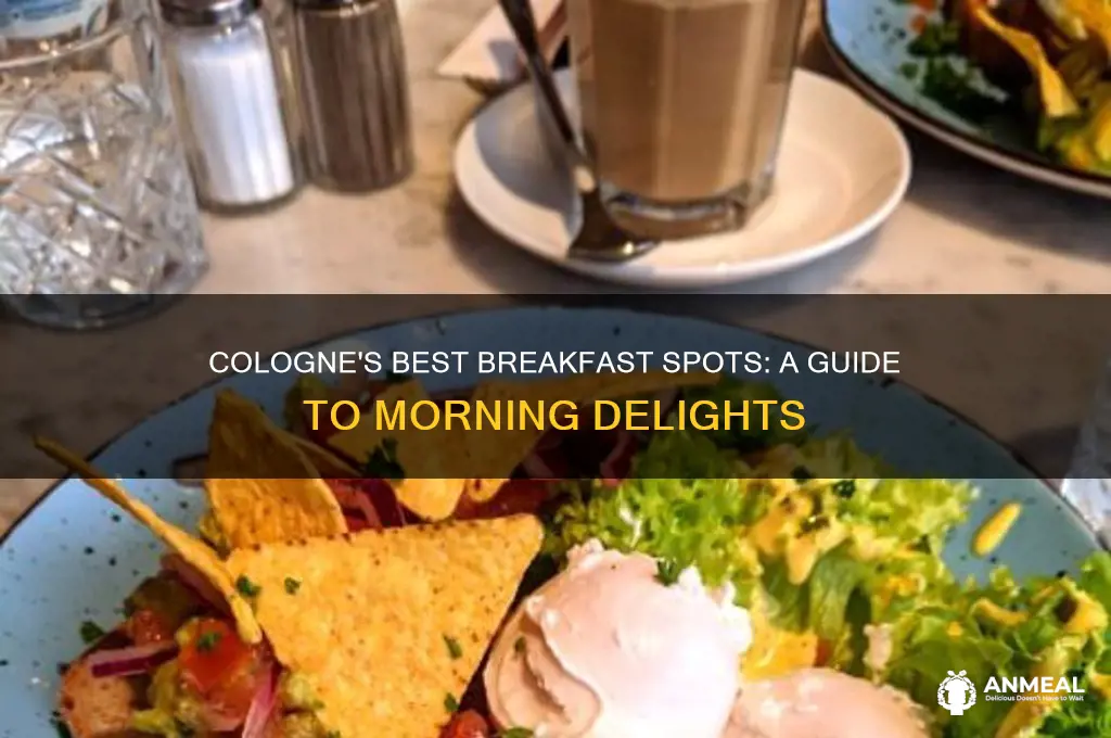 where to go for breakfast in cologne