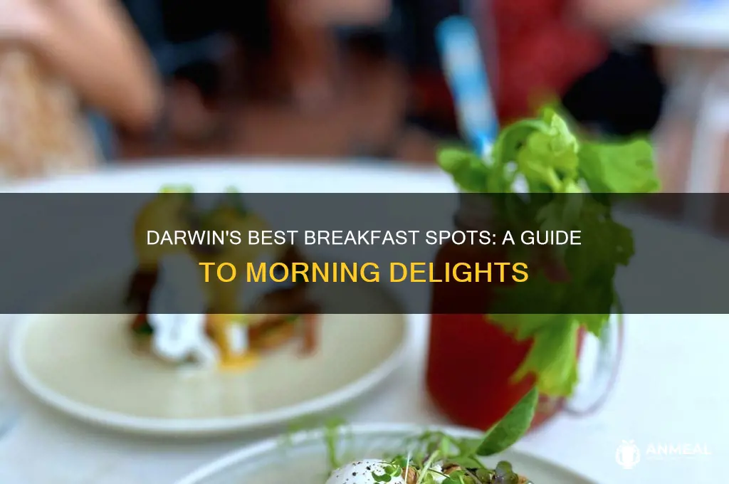 where to go for breakfast in darwin