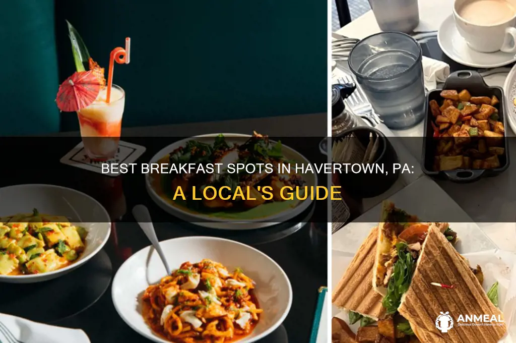 where to go for breakfast in havertown pa