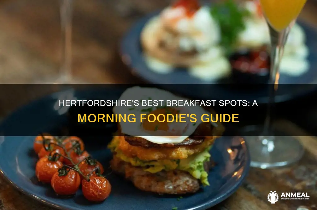 where to go for breakfast in hertfordshire