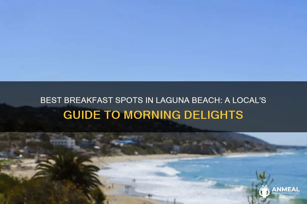 where to go for breakfast in laguna beach