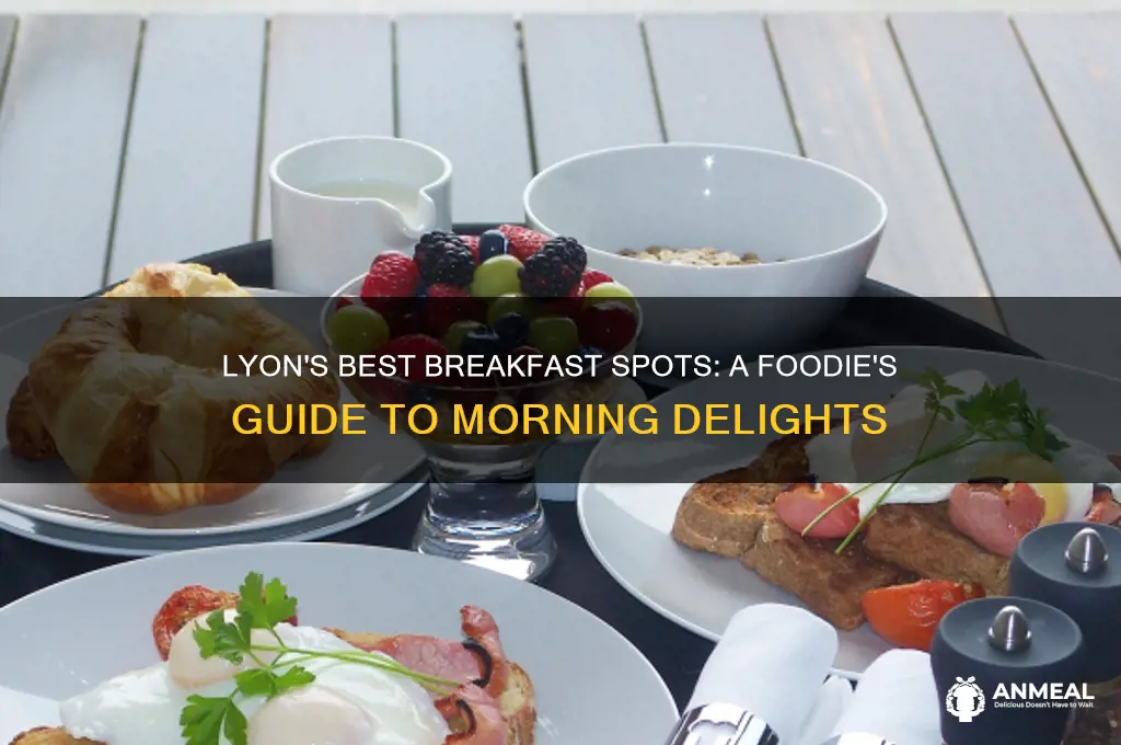 where to go for breakfast in lyon