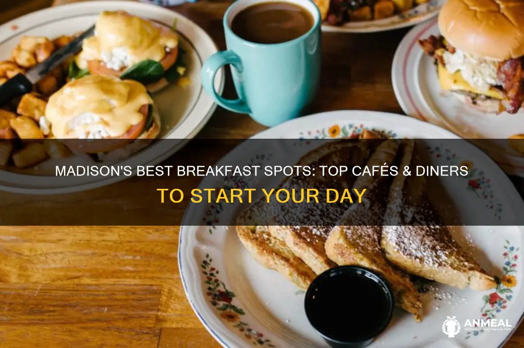 where to go for breakfast in madison wi