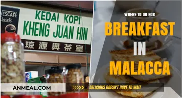 Malacca's Best Breakfast Spots: A Foodie's Guide to Morning Delights