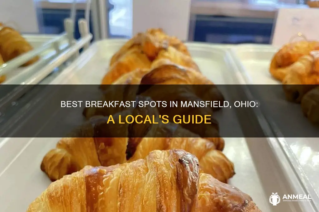 where to go for breakfast in mansfield ohio