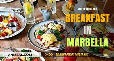Top Marbella Breakfast Spots: Delicious Morning Eats to Start Your Day